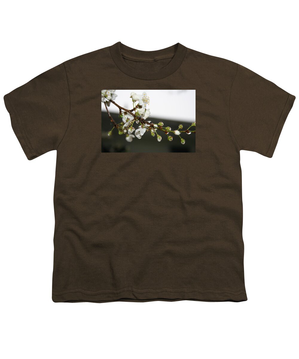 Apple Blossom Youth T-Shirt featuring the photograph Apple Blossom Buds by Valerie Collins