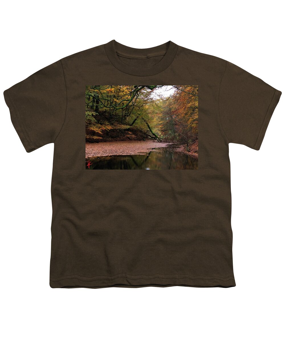Colette Youth T-Shirt featuring the photograph Autumn Colors Denmark by Colette V Hera Guggenheim