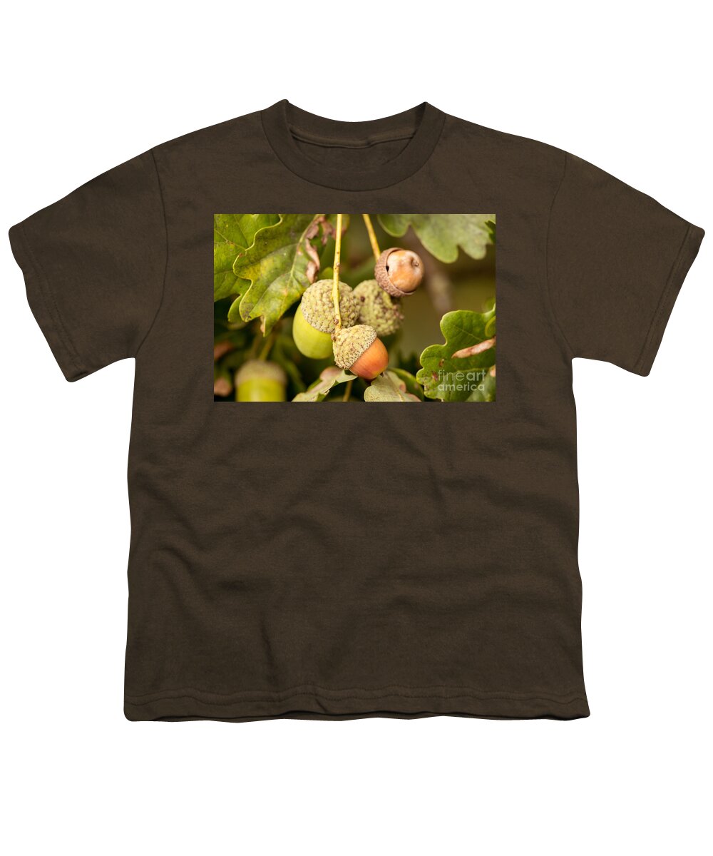 New Youth T-Shirt featuring the photograph Autumn Acorns by Matt Malloy