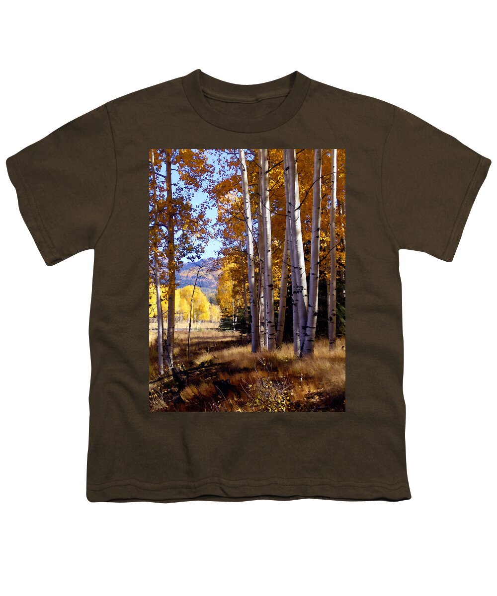 Trees Youth T-Shirt featuring the photograph Autumn Paint Chama New Mexico by Kurt Van Wagner