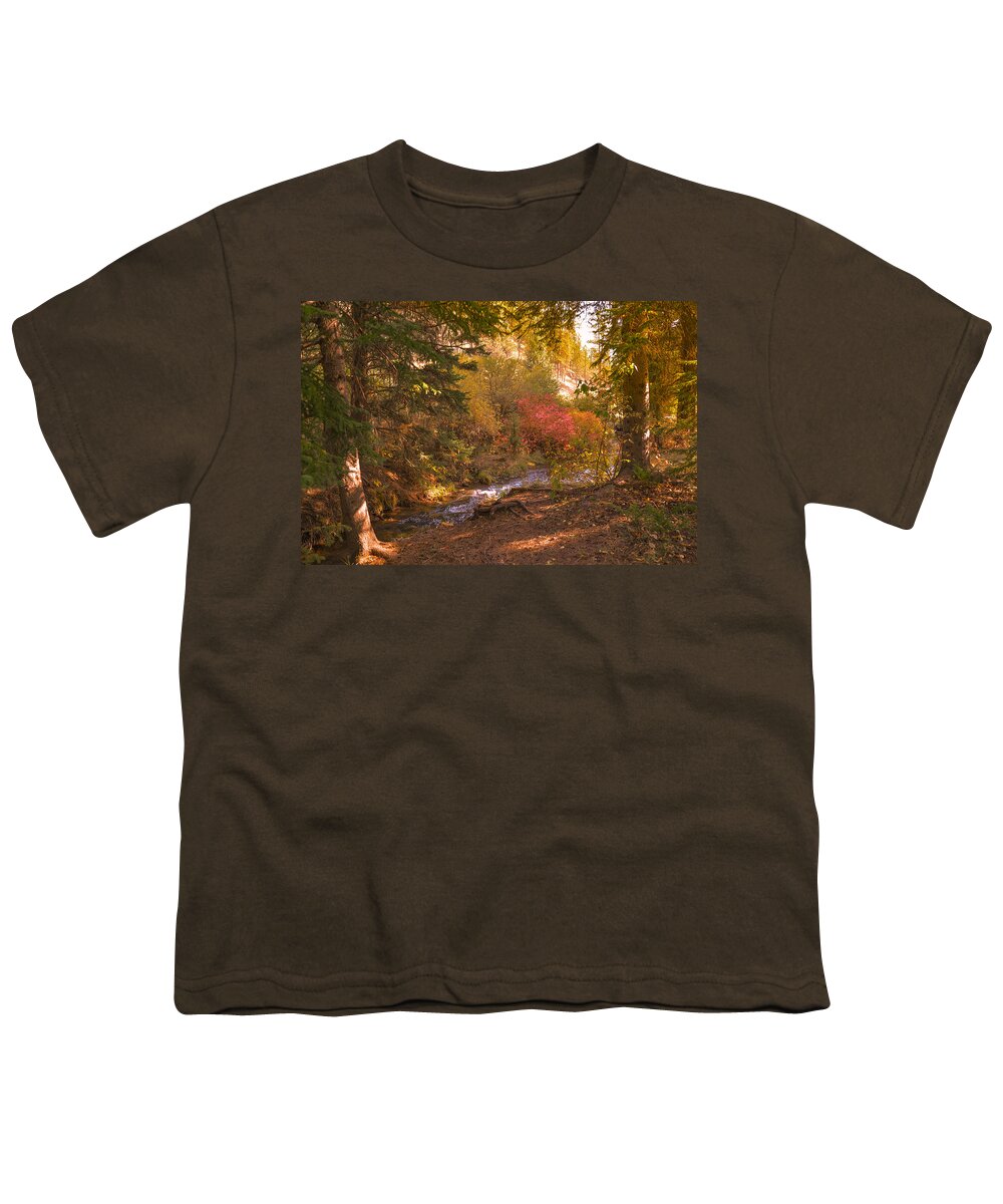 Dakota Youth T-Shirt featuring the photograph Autumn Shadows by Greni Graph