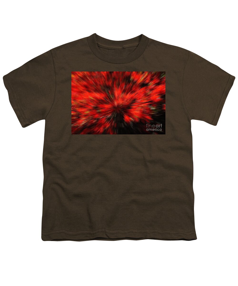 Azaleas Youth T-Shirt featuring the photograph Azaleas Abstract by Jacqueline M Lewis
