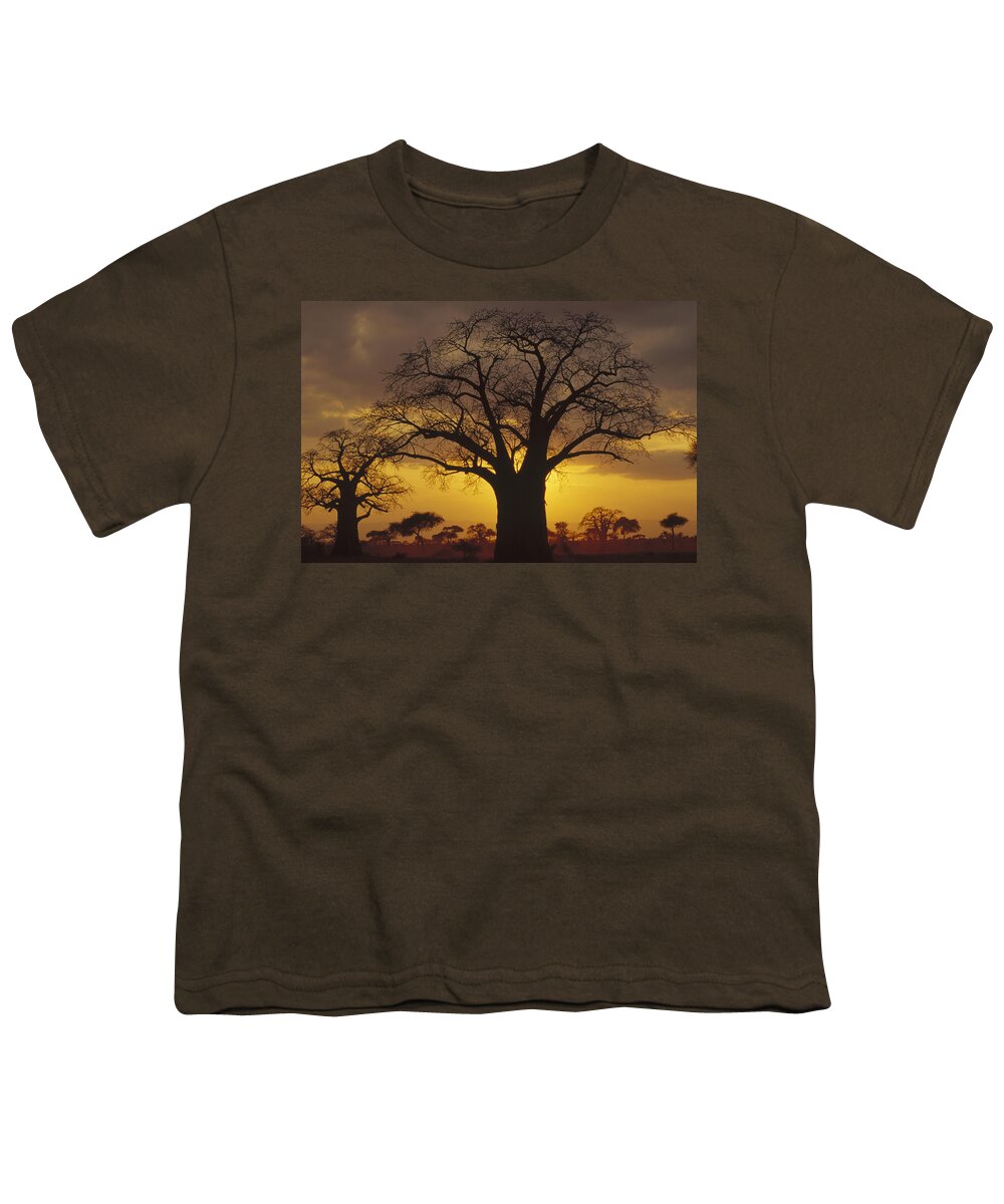Feb0514 Youth T-Shirt featuring the photograph Baobab Tree At Sunset Tanzania by Gerry Ellis