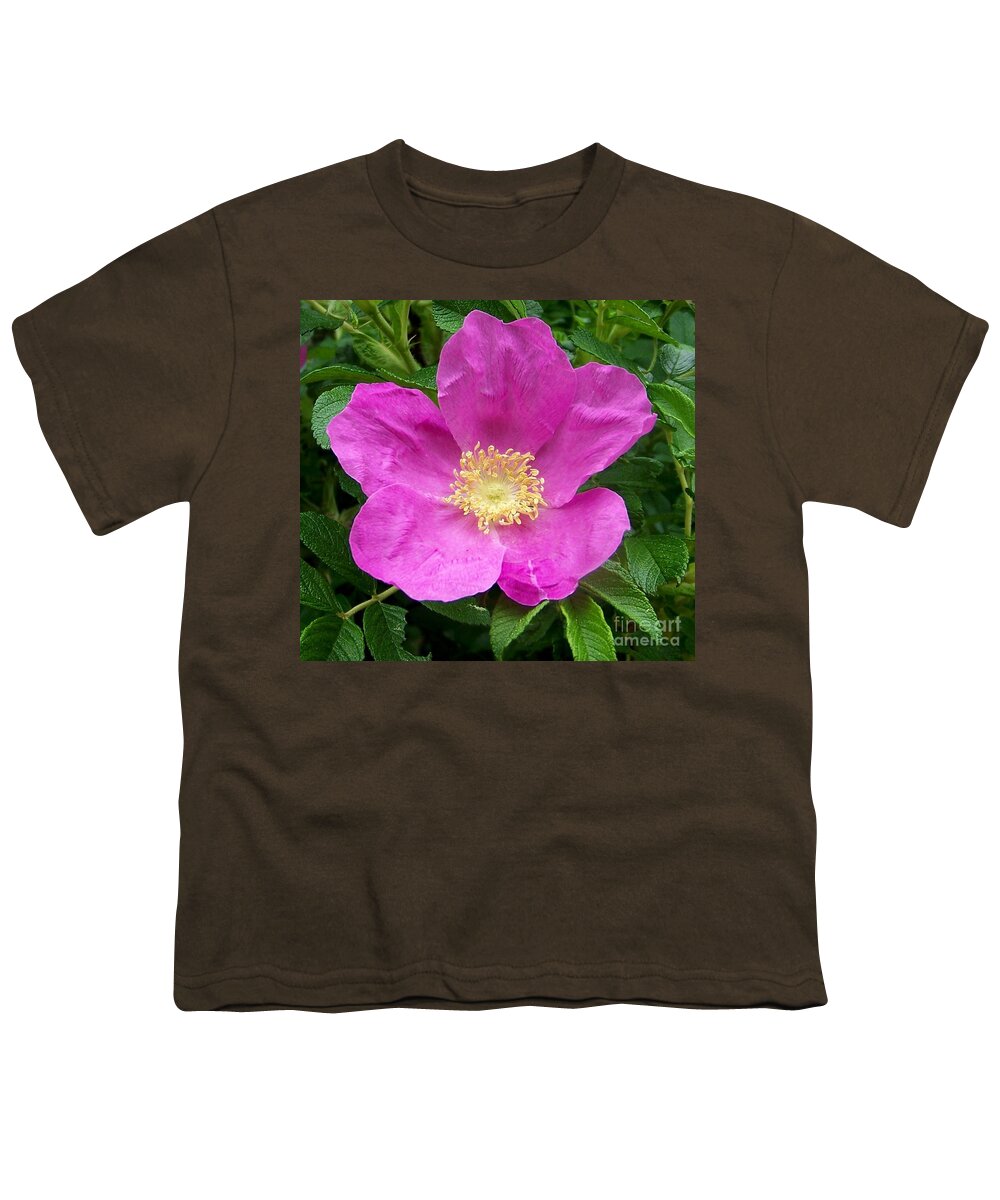 Green Youth T-Shirt featuring the photograph Pink Beach Rose Fully In Bloom by Eunice Miller