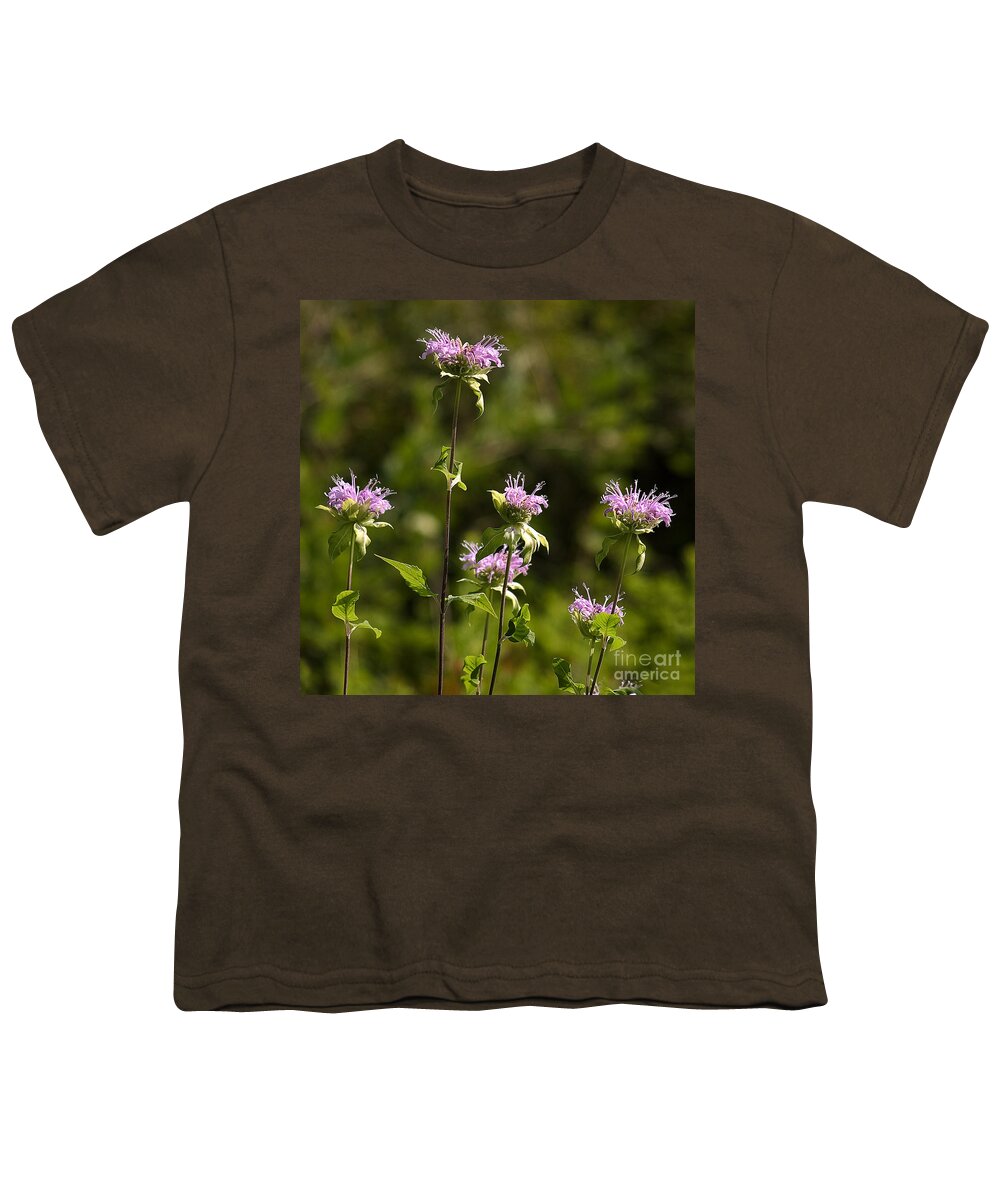 Arboretum Youth T-Shirt featuring the photograph Bergamot by Steven Ralser