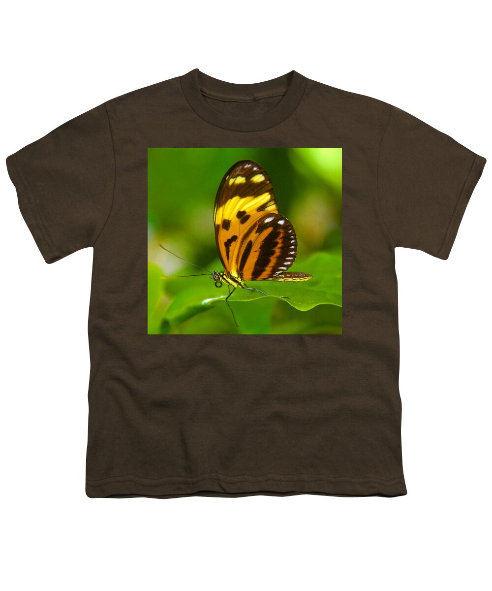 Butterfly Youth T-Shirt featuring the photograph Butterfly in lush green by David Lee Thompson