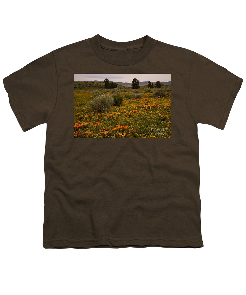 Eschscholzia Californica Youth T-Shirt featuring the photograph California poppies in the Antelope Valley by Nina Prommer