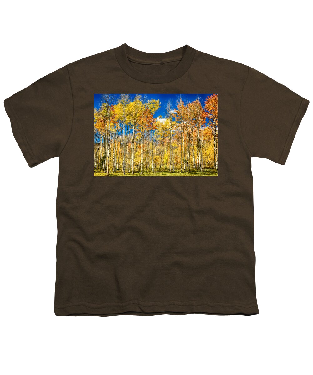 Aspen Youth T-Shirt featuring the photograph Colorful Colorado Autumn Aspen Trees by James BO Insogna