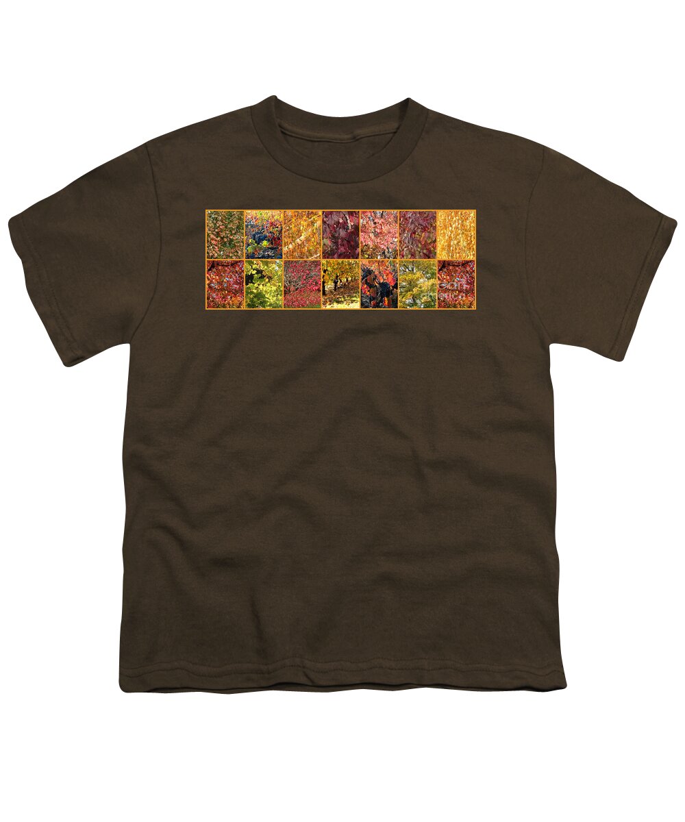 Colors Of Autumn Collage Youth T-Shirt featuring the photograph Colors of Autumn Collage by Carol Groenen