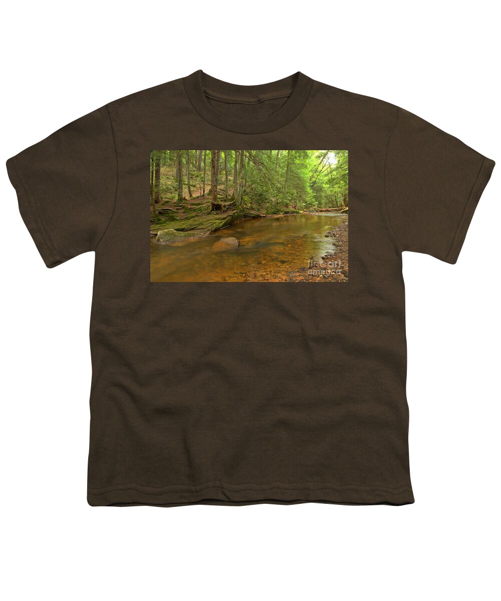 Toms Run Youth T-Shirt featuring the photograph Cook Forest Green Canopy by Adam Jewell