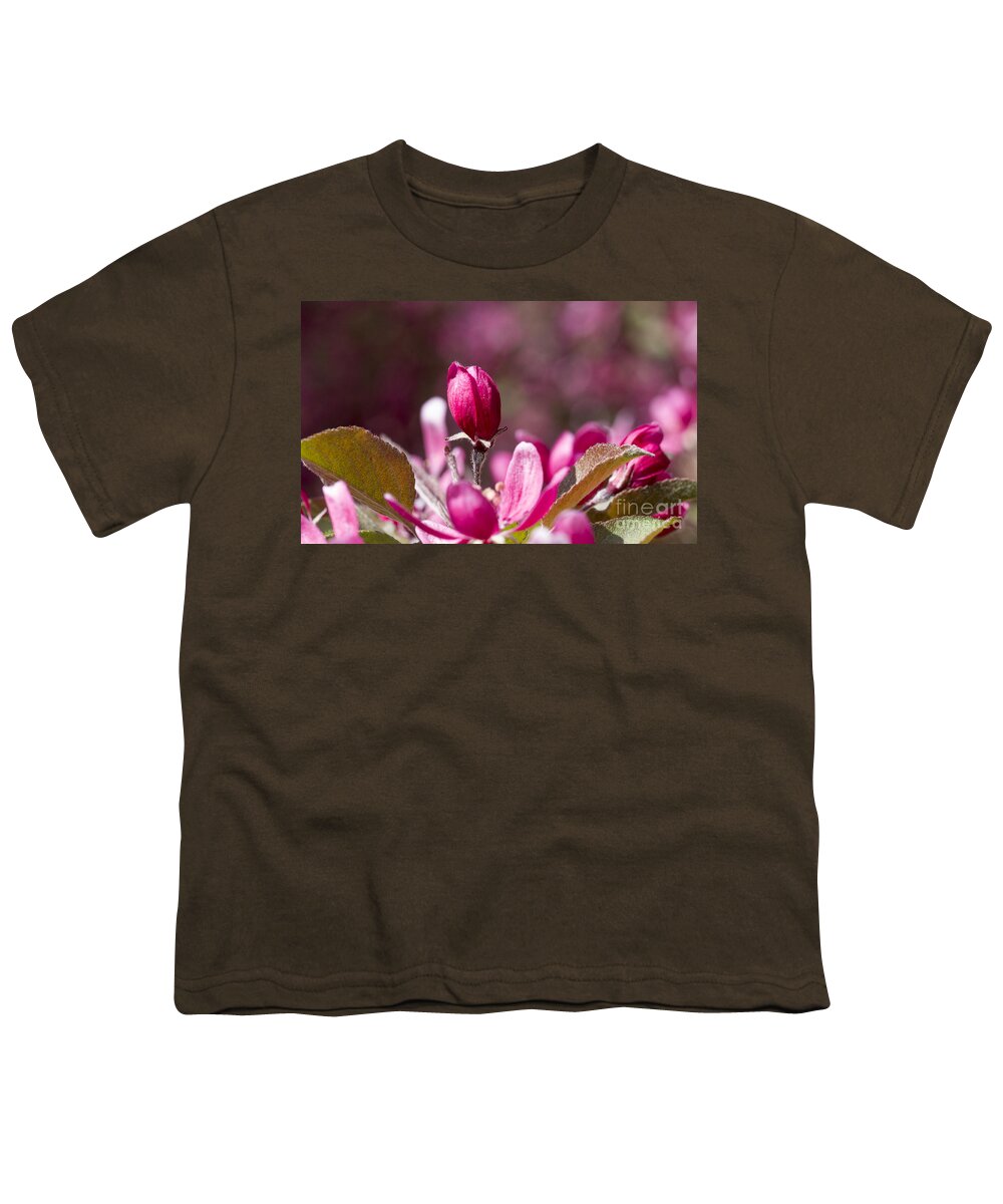 Arboretum Youth T-Shirt featuring the photograph Crabapple bud by Steven Ralser