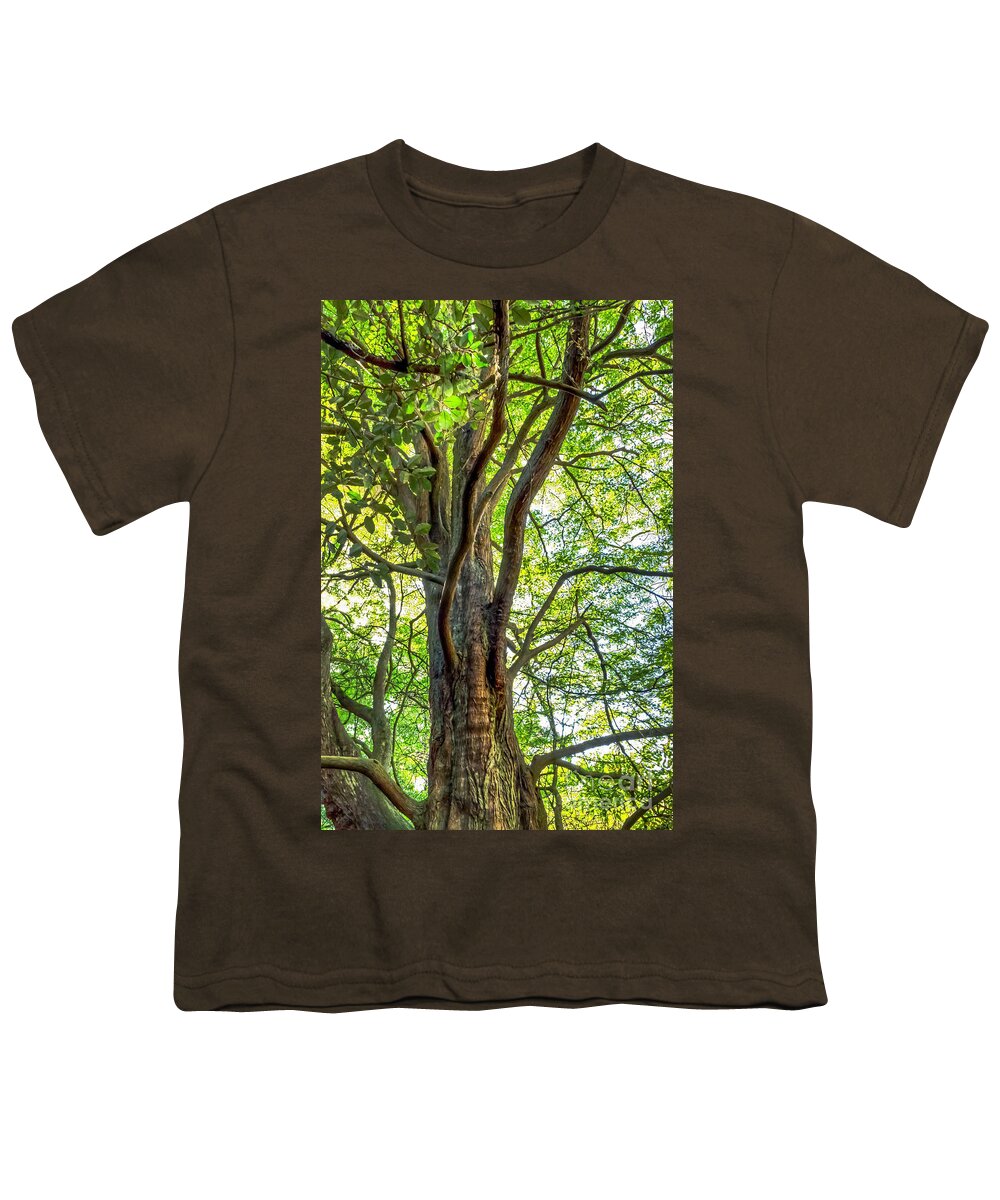 Botanical Garden Youth T-Shirt featuring the photograph Dawn Redwood by Kate Brown