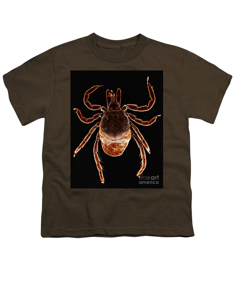 Black-legged Tick Youth T-Shirt featuring the photograph Deer Tick by David M. Phillips