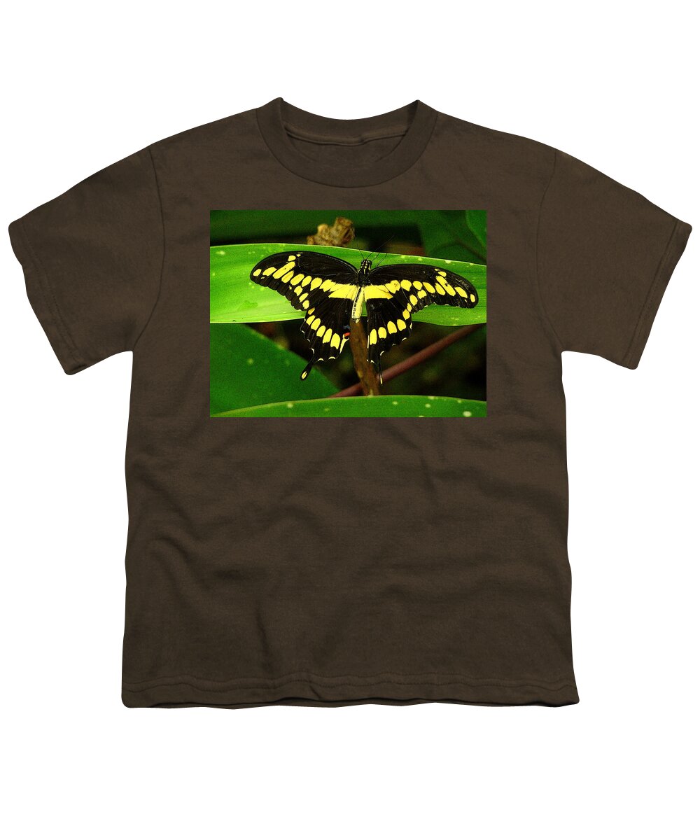 Fine Art Youth T-Shirt featuring the photograph Dominant by Rodney Lee Williams