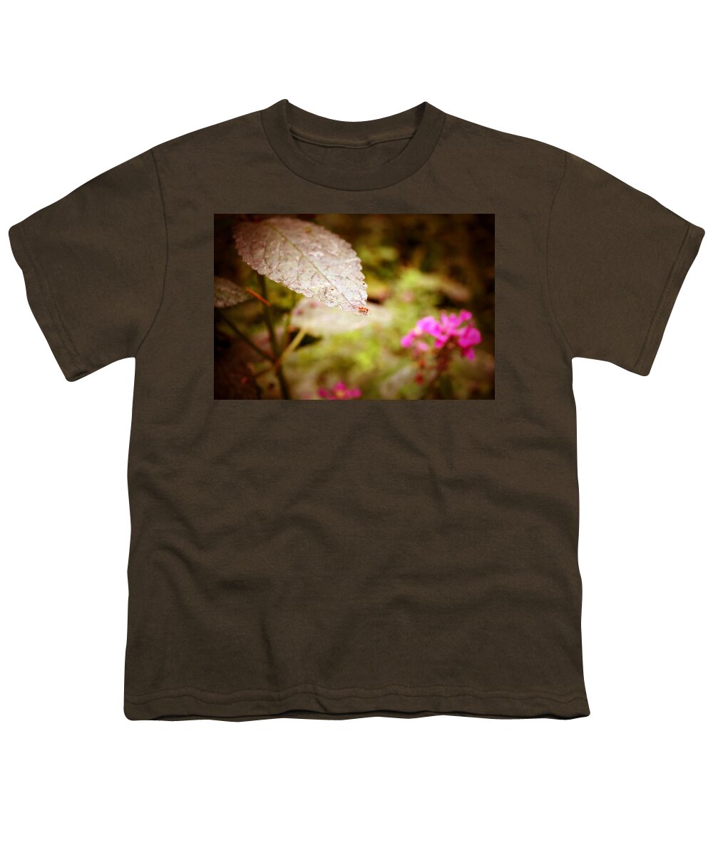 Red Ant Youth T-Shirt featuring the photograph Don't Look Down by Laureen Murtha Menzl