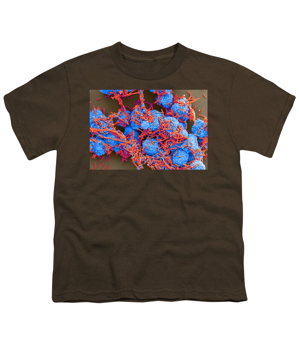 Science Youth T-Shirt featuring the photograph E Coli And Macrophages Sem by Science Source