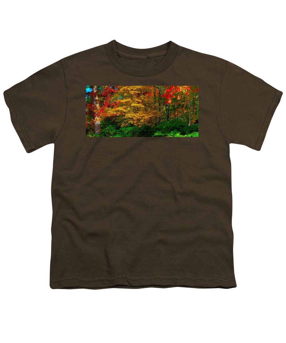 Orton Youth T-Shirt featuring the photograph Fall Color Orton Effect by Rick Mosher