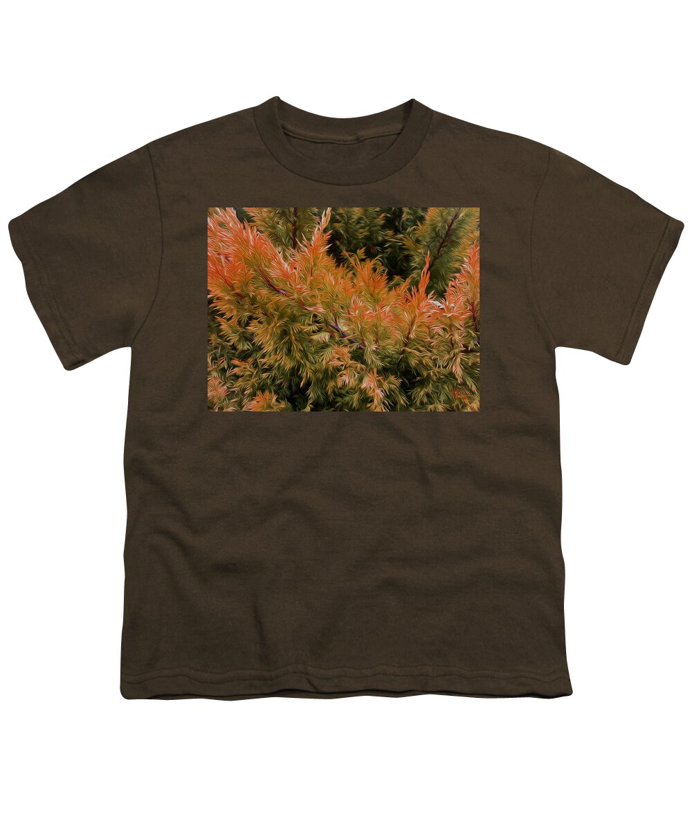 Textures Youth T-Shirt featuring the digital art Fir Frond textures by Vincent Franco