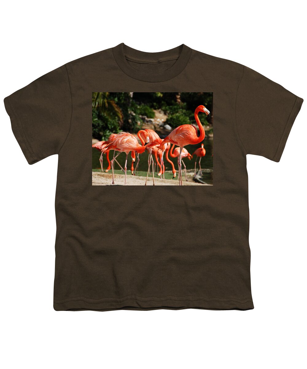 Flamingo Youth T-Shirt featuring the photograph Flamingos by Aimee L Maher ALM GALLERY