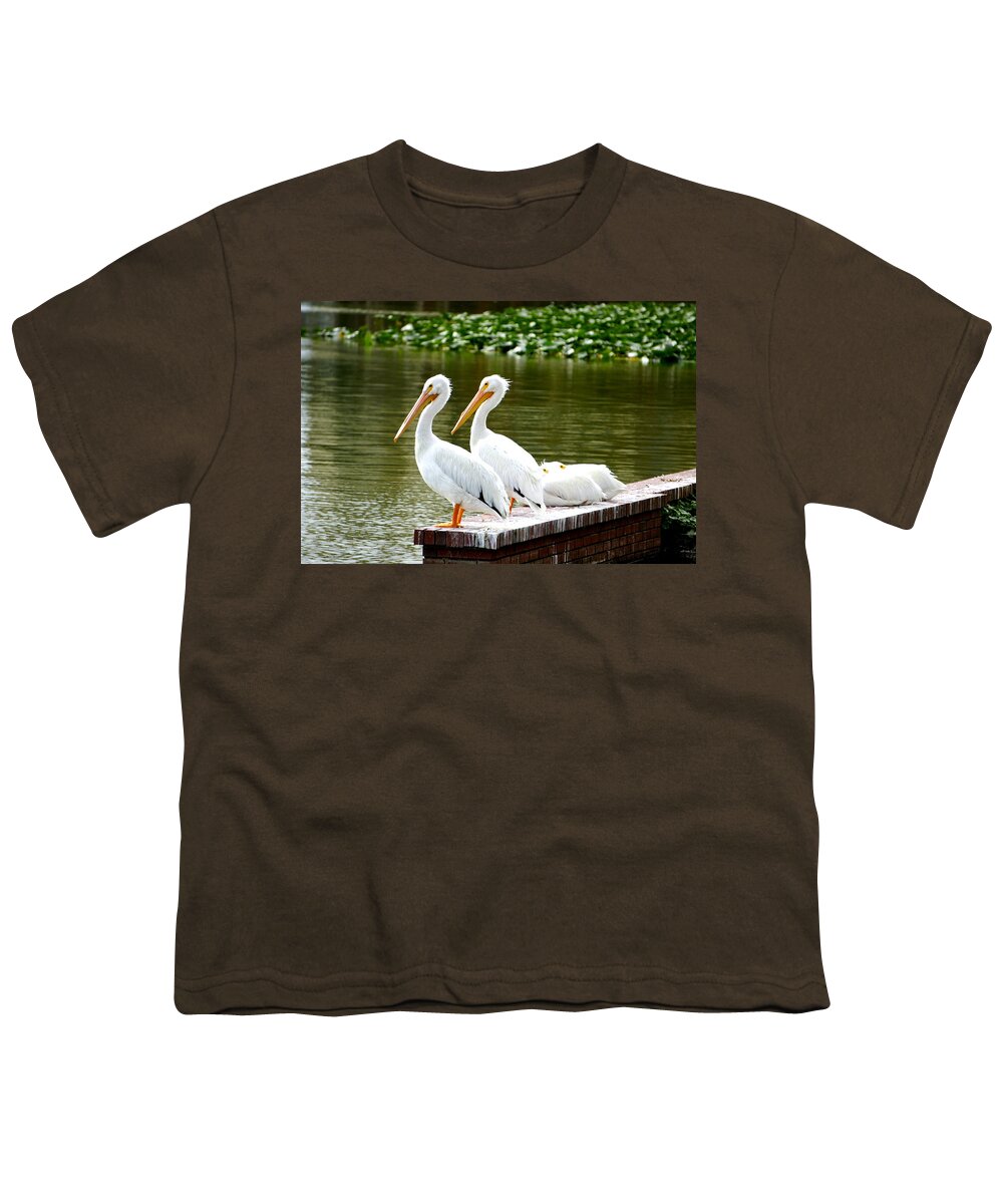 White Pelicans Youth T-Shirt featuring the photograph Four in a Row by Laurie Perry