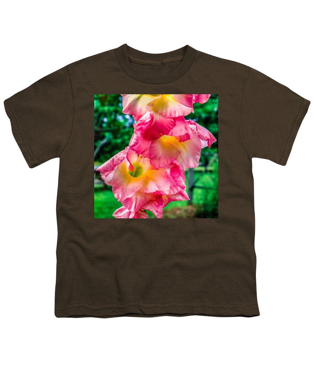 Summer Youth T-Shirt featuring the photograph Gladiolus by Traveler's Pics