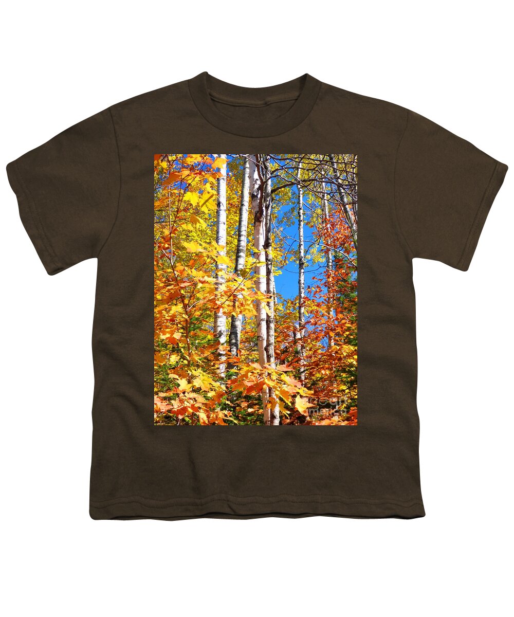 Autumn Youth T-Shirt featuring the photograph Gold Autumn by Cristina Stefan