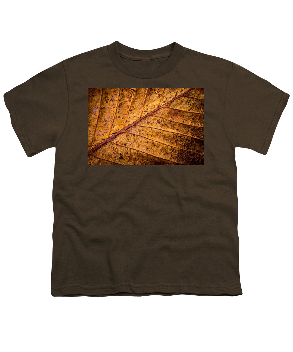 Leaf Youth T-Shirt featuring the photograph Gold Leaf by Nigel R Bell