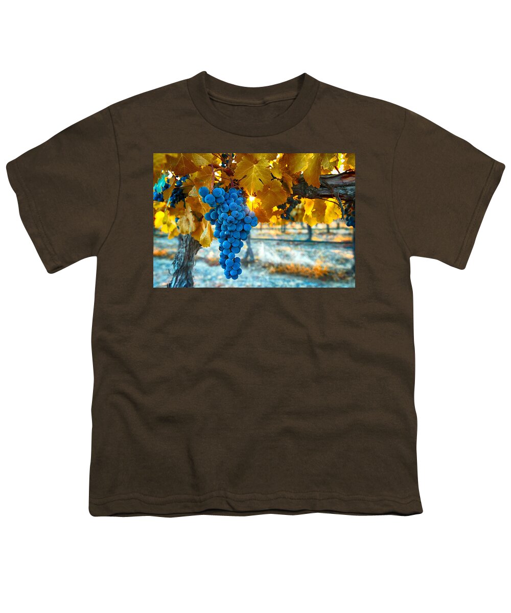  Youth T-Shirt featuring the photograph Golden leaves with grapes by Lynn Hopwood