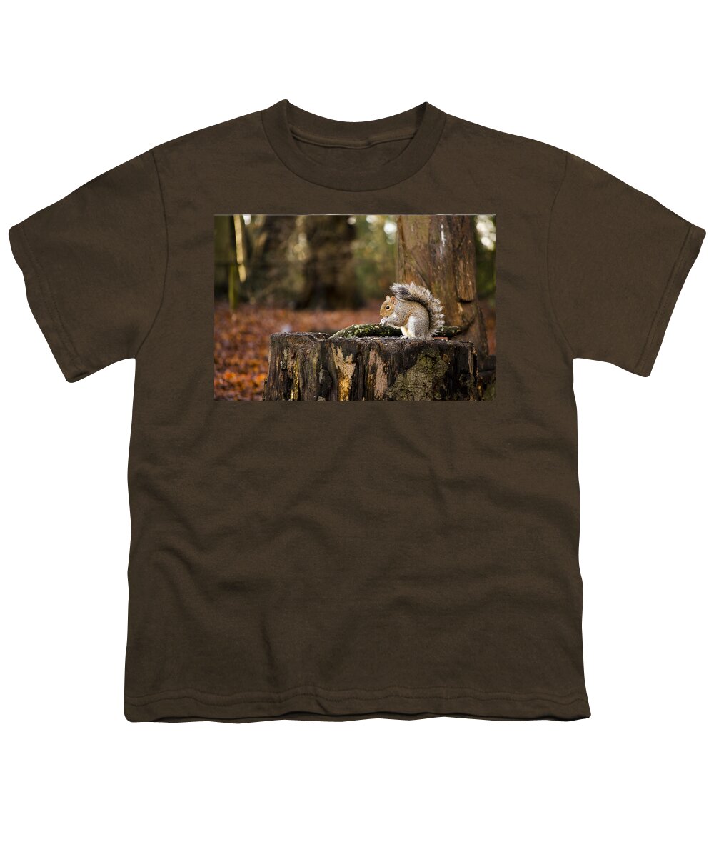 Squirrel Youth T-Shirt featuring the photograph Grey Squirrel on a Stump by Spikey Mouse Photography