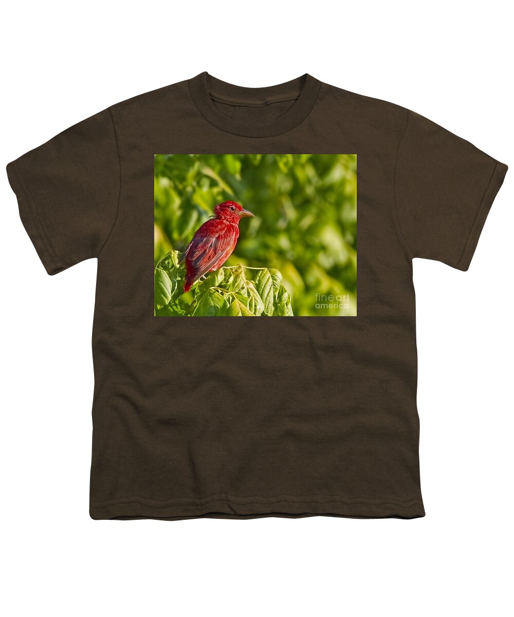 Handsome Young Fellow Youth T-Shirt featuring the photograph Handsome Young Fellow by Gary Holmes