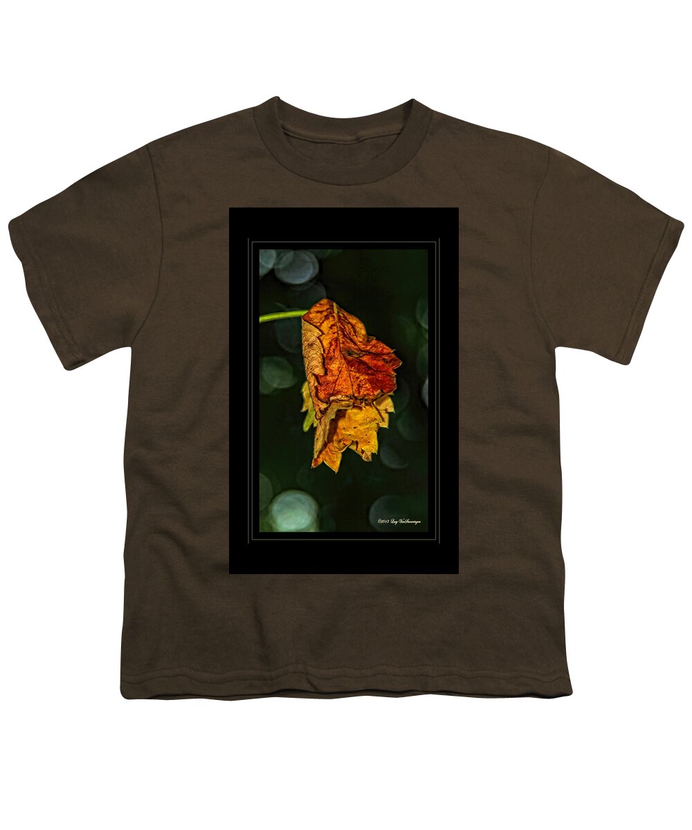 Fall Leaves Photograph Youth T-Shirt featuring the photograph Hanging Gold framed by Lucy VanSwearingen