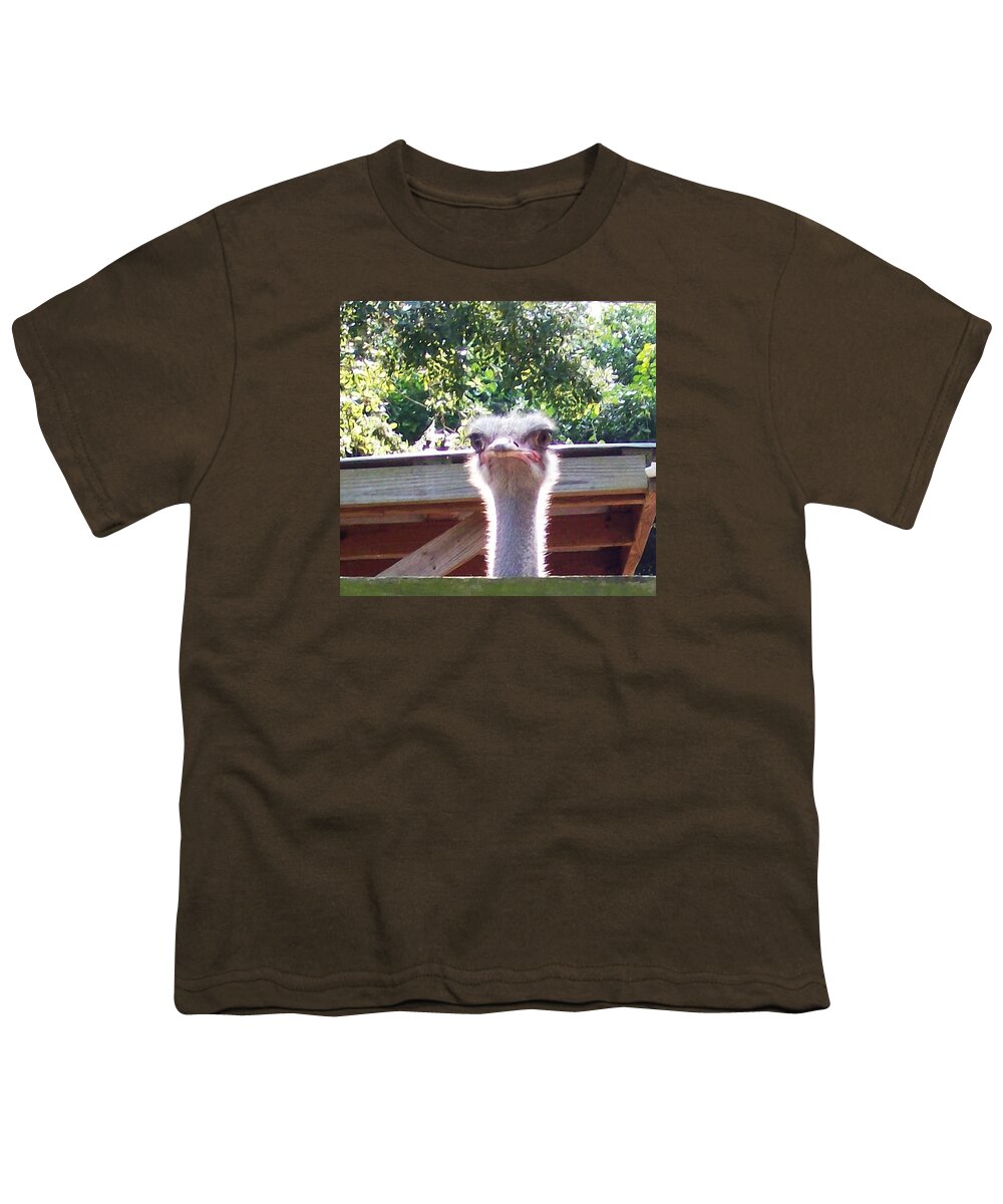 #male #ostrich #bigbird #blueberry #farm #florida Youth T-Shirt featuring the photograph Big Ostrich Eyes Look Down There by Belinda Lee