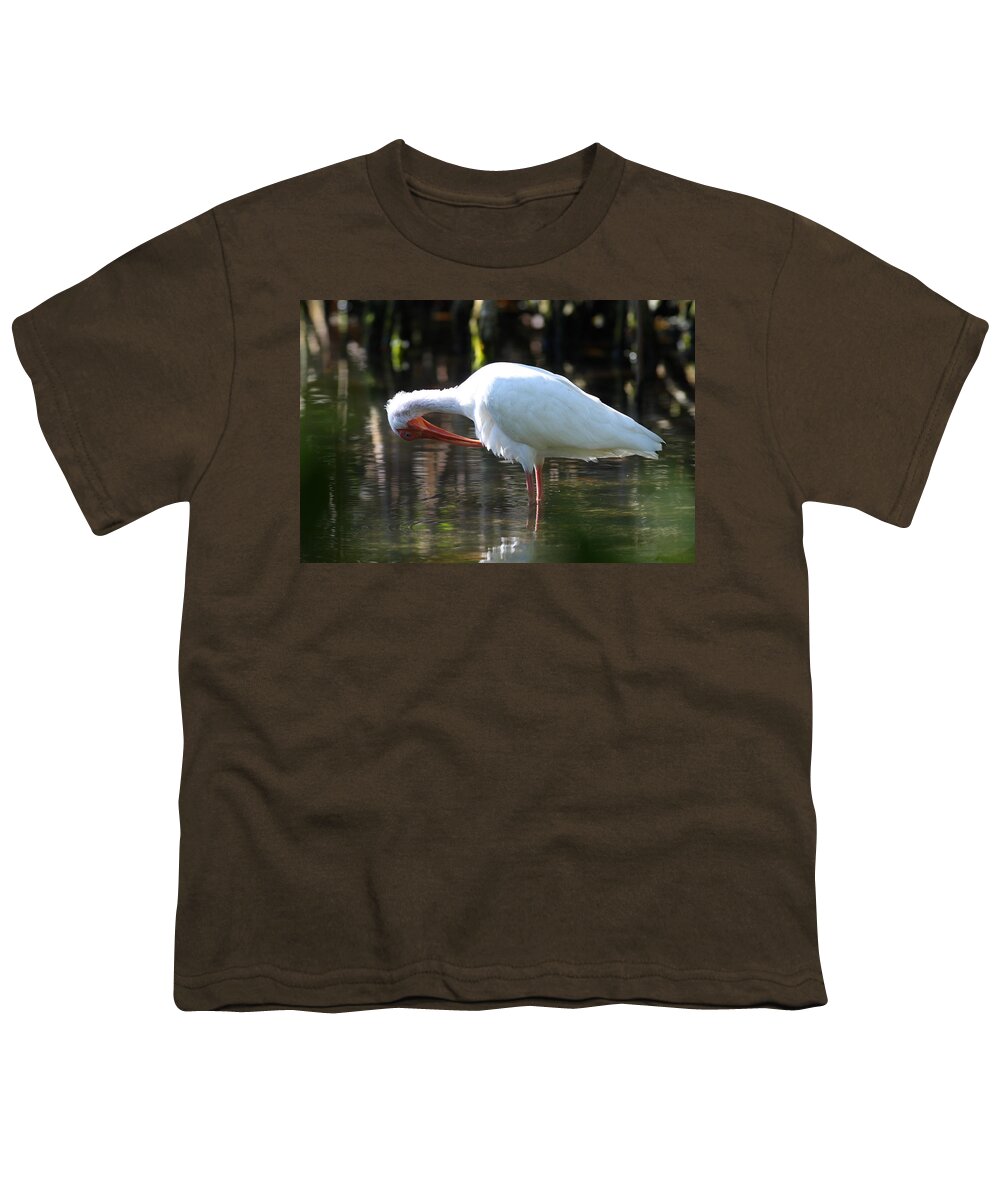 Ibis Preening Youth T-Shirt featuring the photograph Ibis Preening by Daniel Reed
