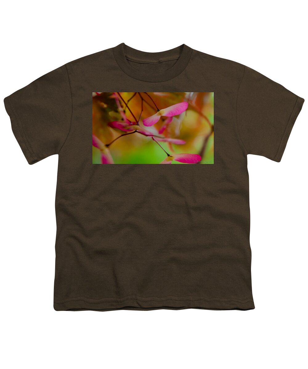 Japanese Maple Youth T-Shirt featuring the photograph Japanese Maple Seedling by Brenda Jacobs