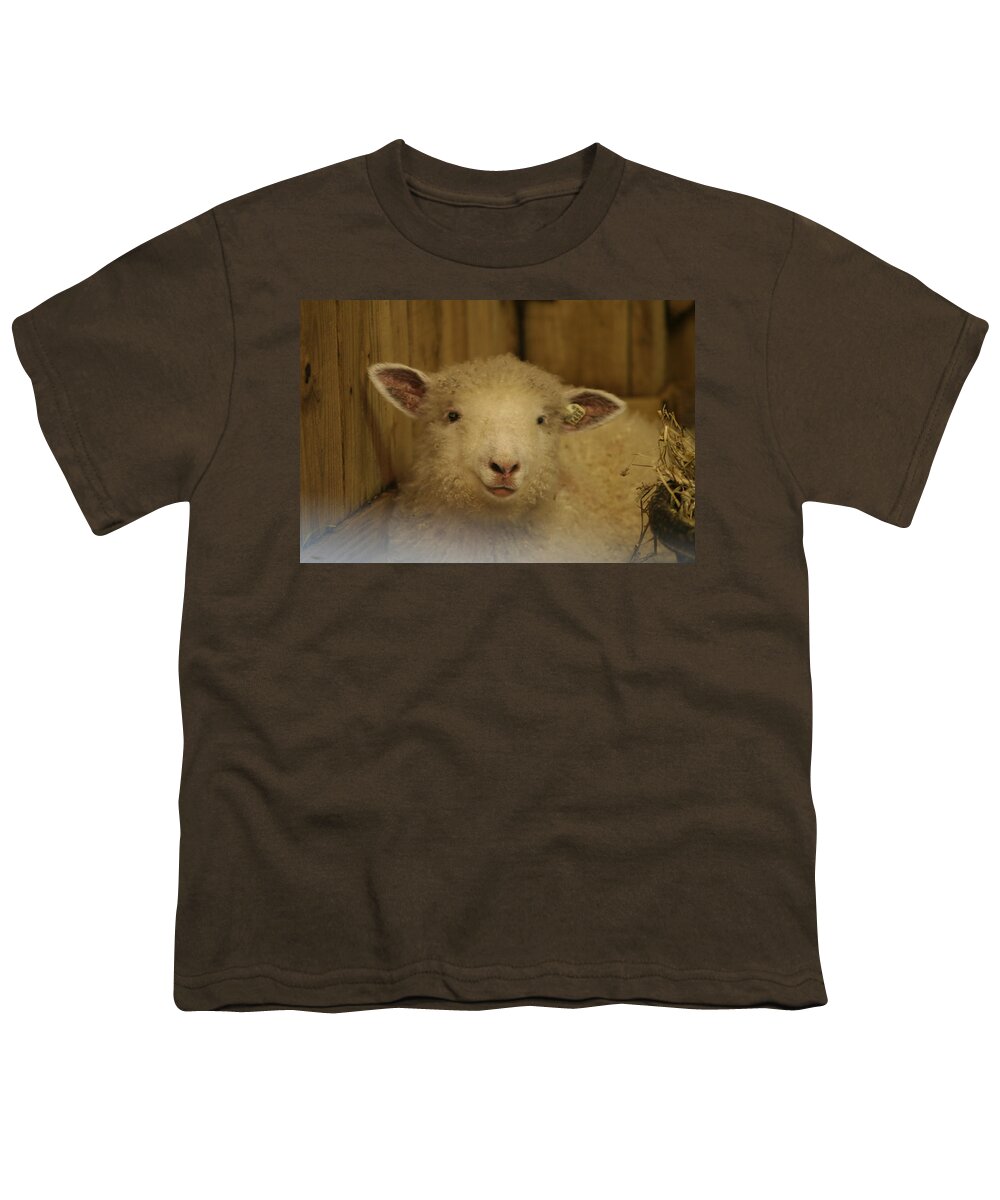 Lamp Youth T-Shirt featuring the photograph Lamb Chop by Valerie Collins