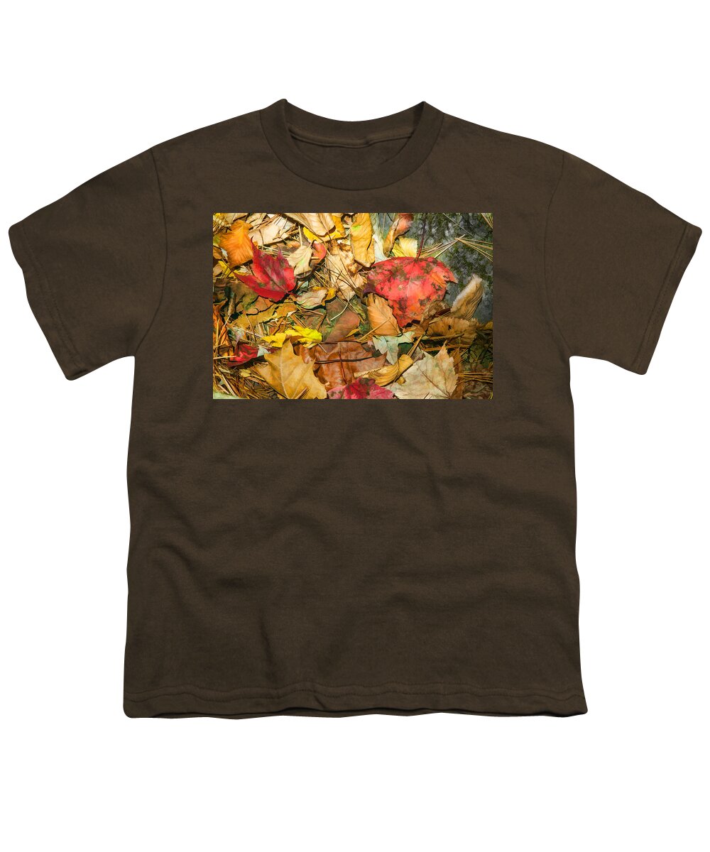 Autumn Youth T-Shirt featuring the photograph Leaves of the Fall Great Smoky Mountains Painted by Rich Franco