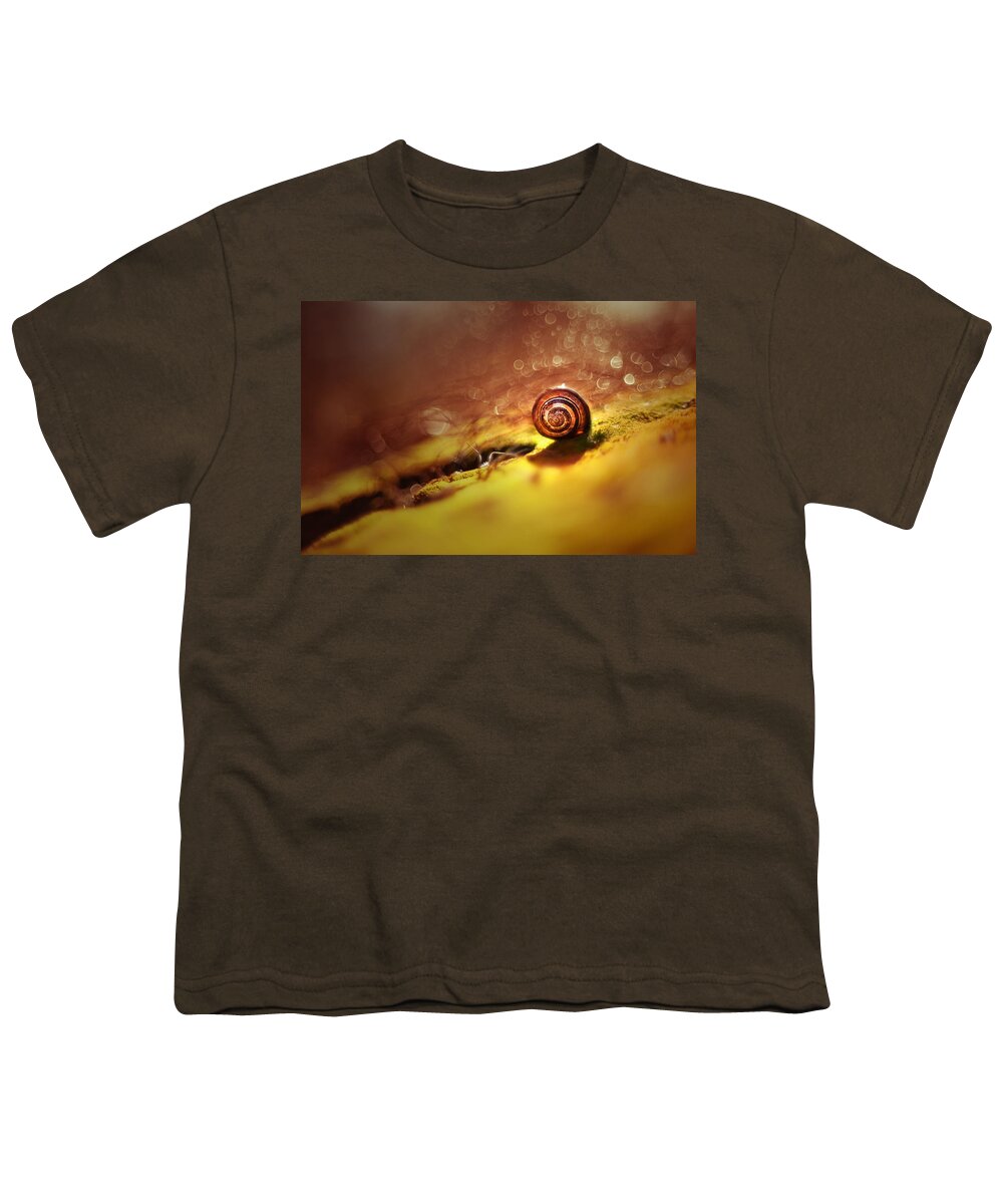 Morning Youth T-Shirt featuring the photograph Morning glare in brown by Jaroslaw Blaminsky