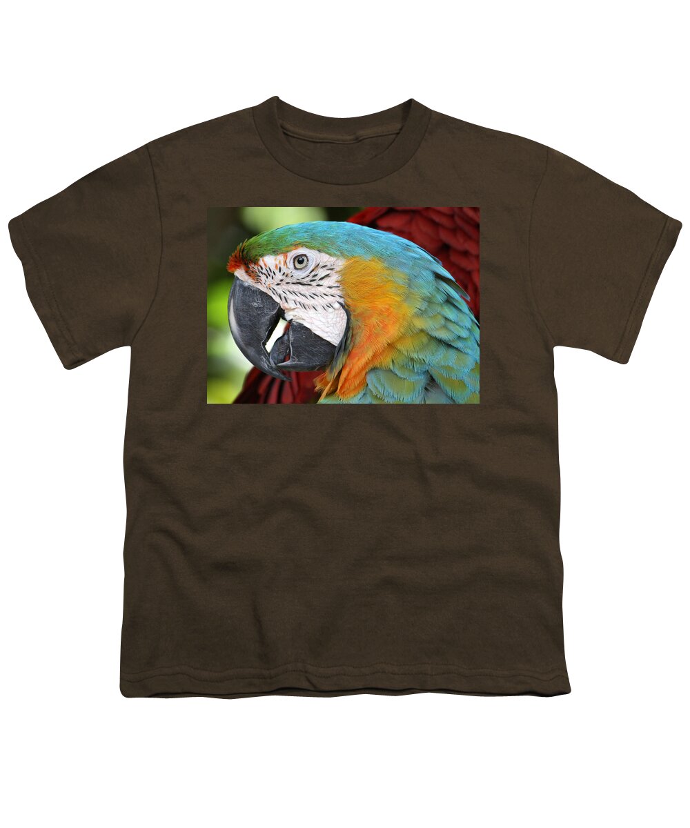 Parrot Youth T-Shirt featuring the photograph Magnificent Macaw by David Nicholls