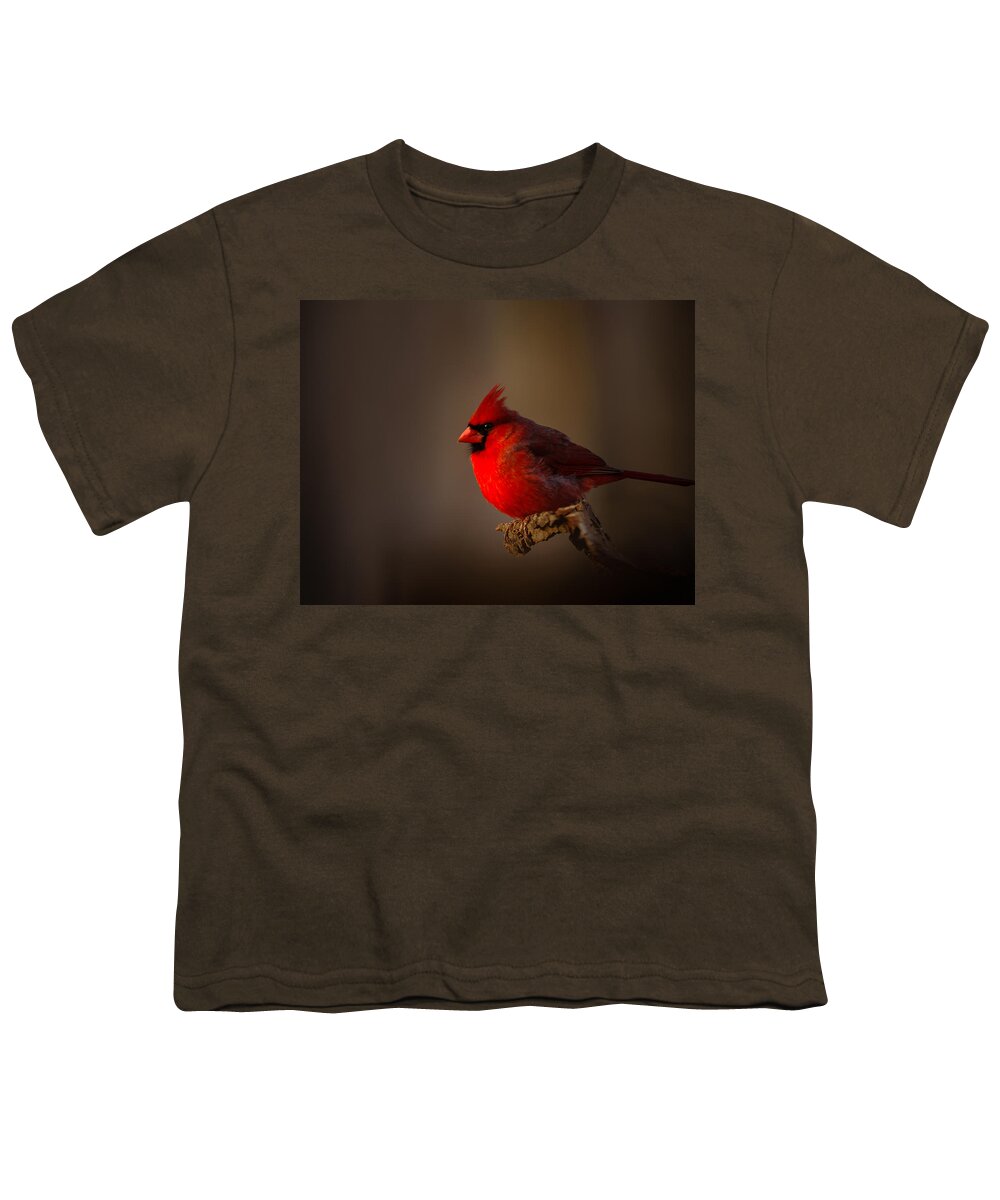 Male Cardinal Youth T-Shirt featuring the photograph Male Cardinal subdued Forest Background by Randall Branham