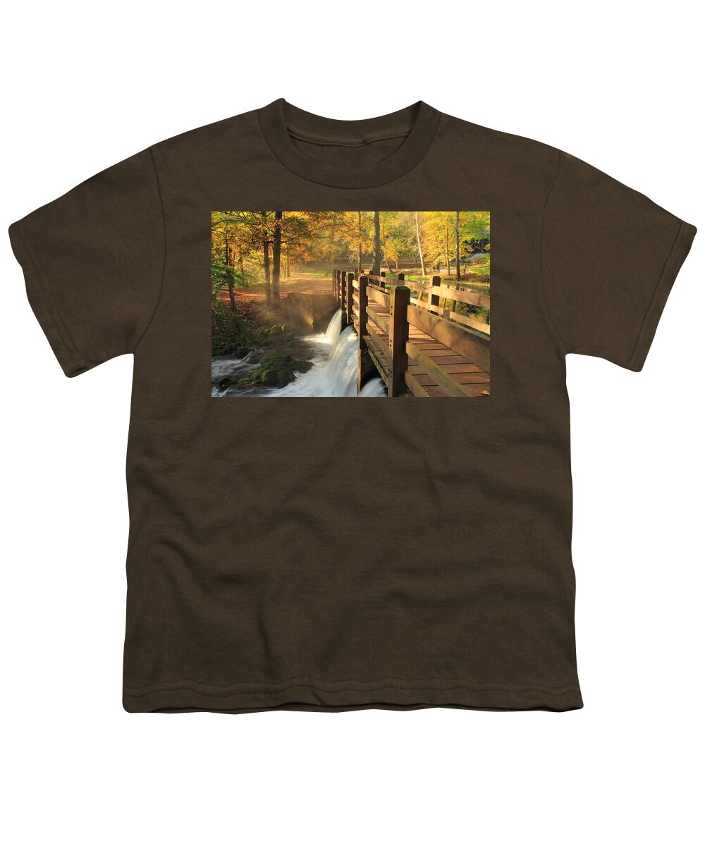 Maramec Spring Park Youth T-Shirt featuring the photograph Maramec Bridge and Falls by Scott Rackers