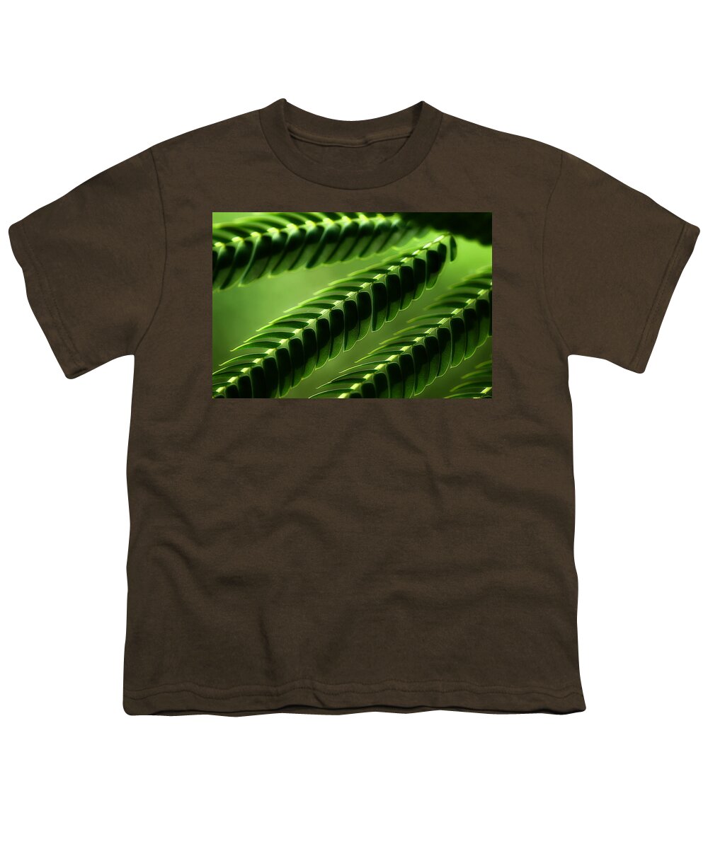 Mimosa Tree Leaves Youth T-Shirt featuring the photograph Mimosa Tree Leaf Abstract by Michael Eingle
