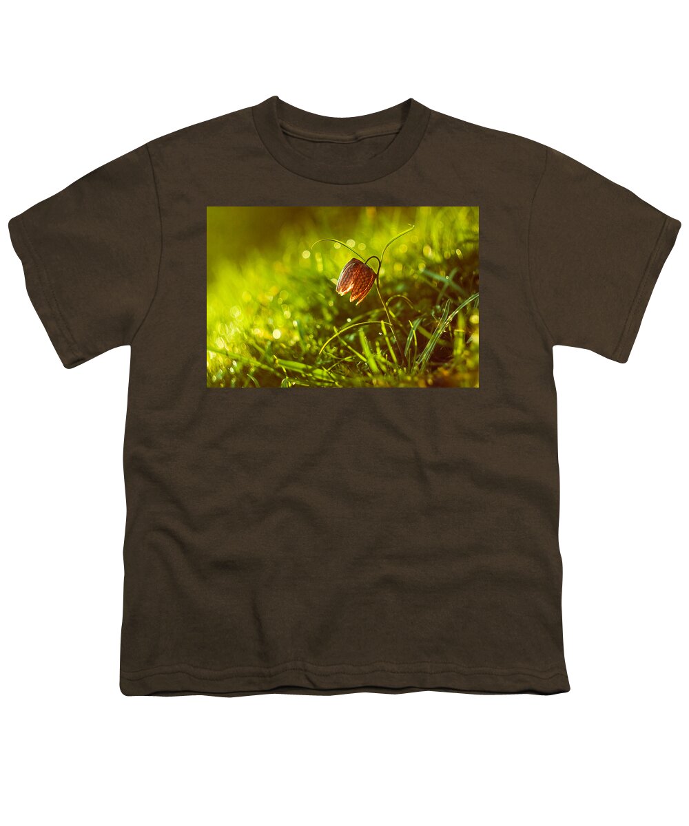 Flower Youth T-Shirt featuring the photograph Morning beauty by Davorin Mance
