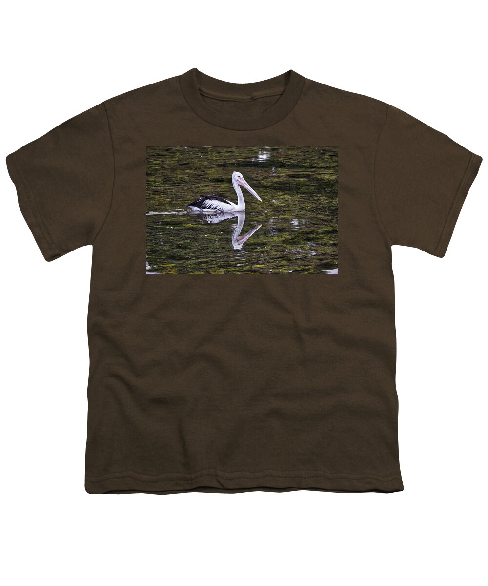 Australia Youth T-Shirt featuring the photograph Pelican - Australia by Steven Ralser