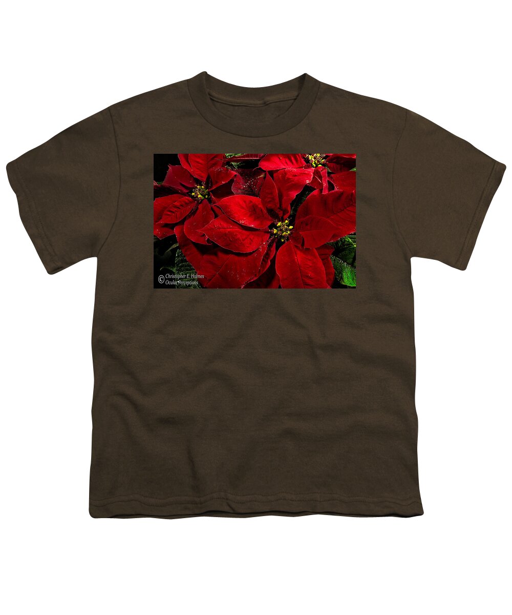 Christopher Holmes Photography Youth T-Shirt featuring the photograph Pretty Poinsettias by Christopher Holmes