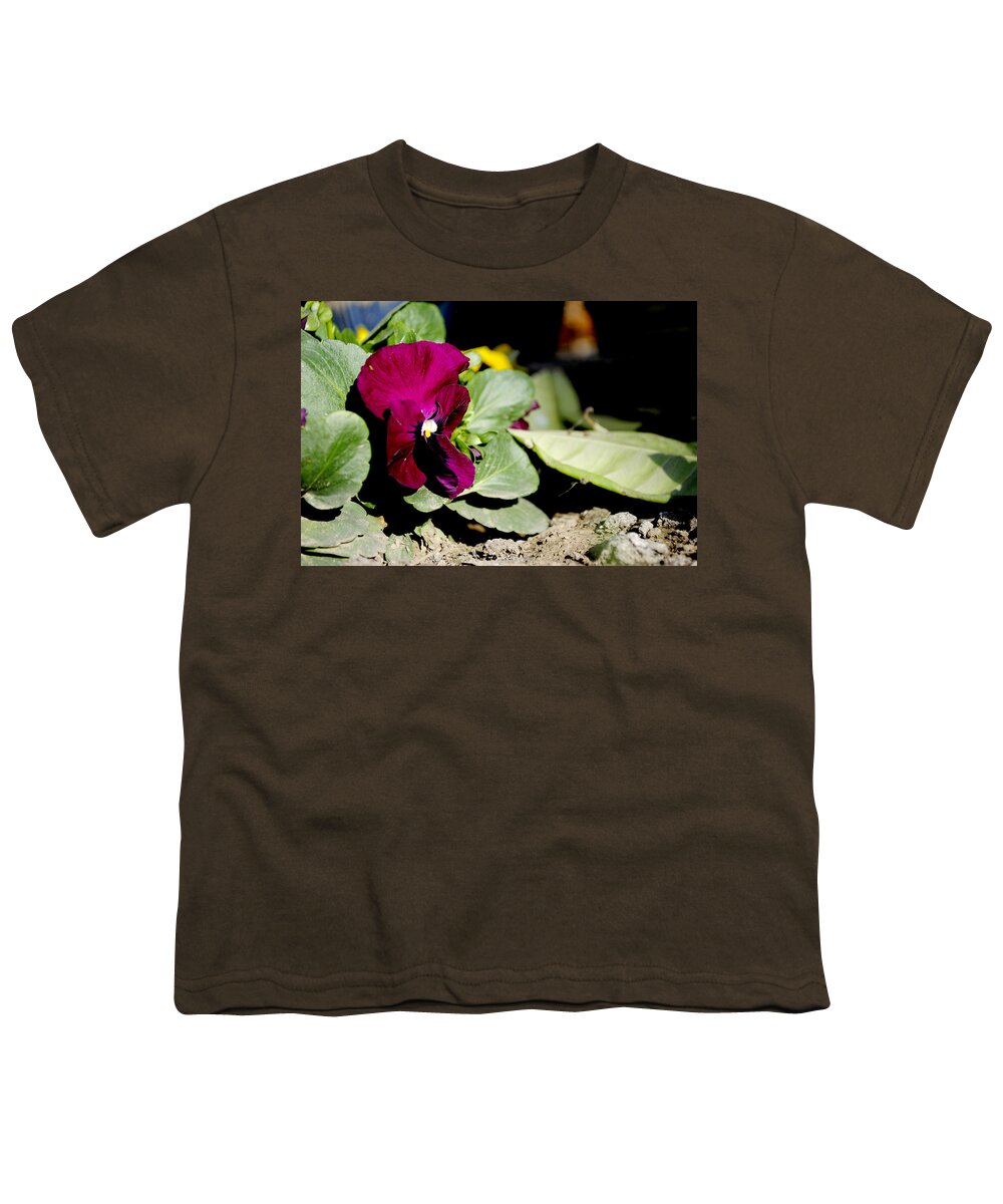 Floral Youth T-Shirt featuring the photograph Purple pansy by Sumit Mehndiratta