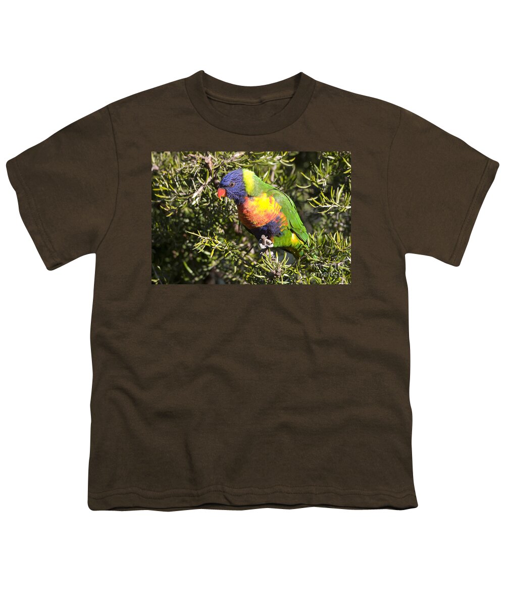 Australia Youth T-Shirt featuring the photograph Rainbow Lorikeet by Steven Ralser