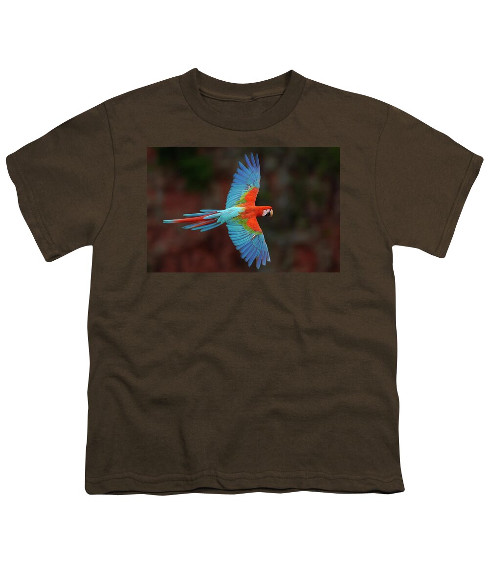 00217503 Youth T-Shirt featuring the photograph Red And Green Macaw Flying by Pete Oxford