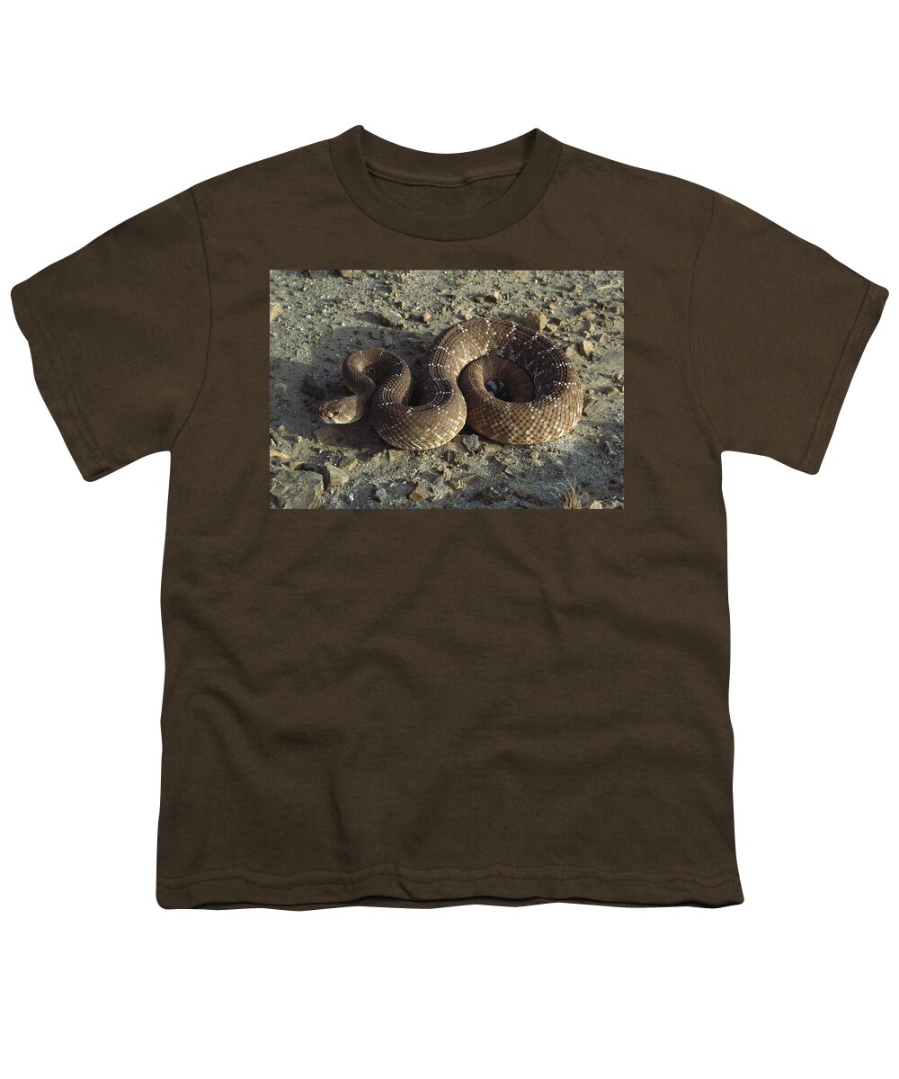 Feb0514 Youth T-Shirt featuring the photograph Red Rattlesnake Baja California Mexico by Larry Minden