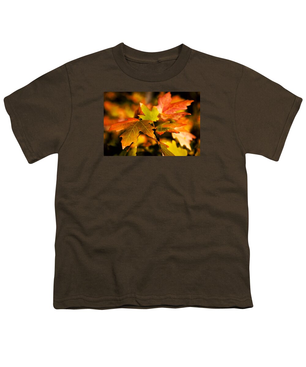 Red Youth T-Shirt featuring the photograph Reds by Chad Dutson