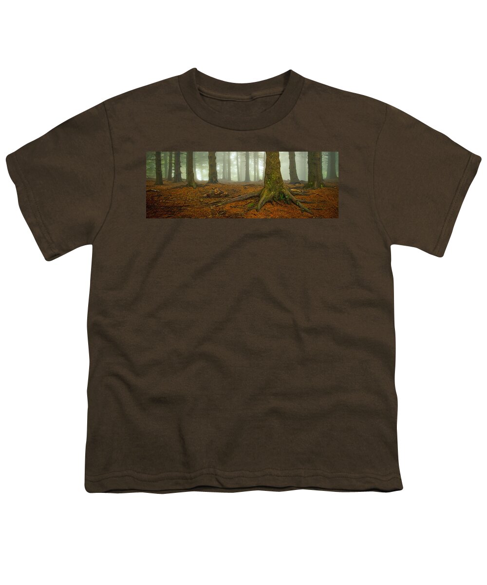 Autumn Youth T-Shirt featuring the photograph Rooted-Pano by Joye Ardyn Durham
